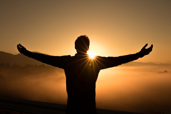 Life transitions counselling