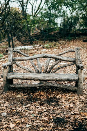 A rustic wooden bench among autumn leaves